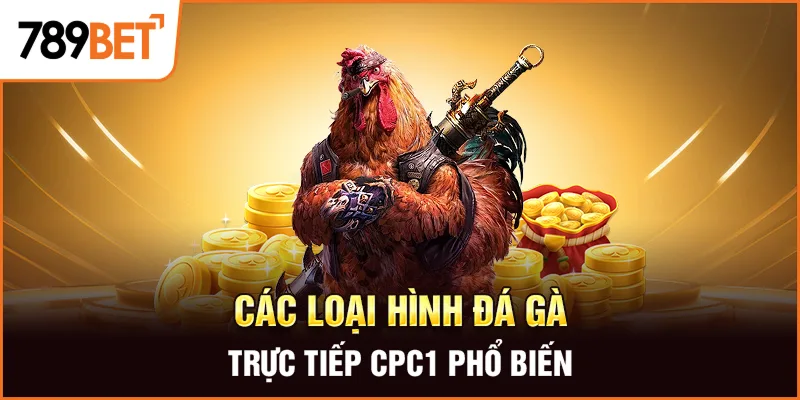 Các loại hình đá gà trực tiếp cpc1 phổ biến Các loại hình đá gà trực tiếp cpc1 phổ biến