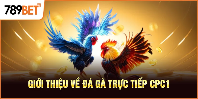 Giới thiệu về đá gà trực tiếp cpc1 Giới thiệu về đá gà trực tiếp cpc1